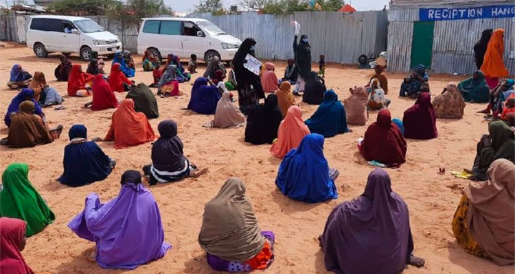 LAW Annual Report 2020