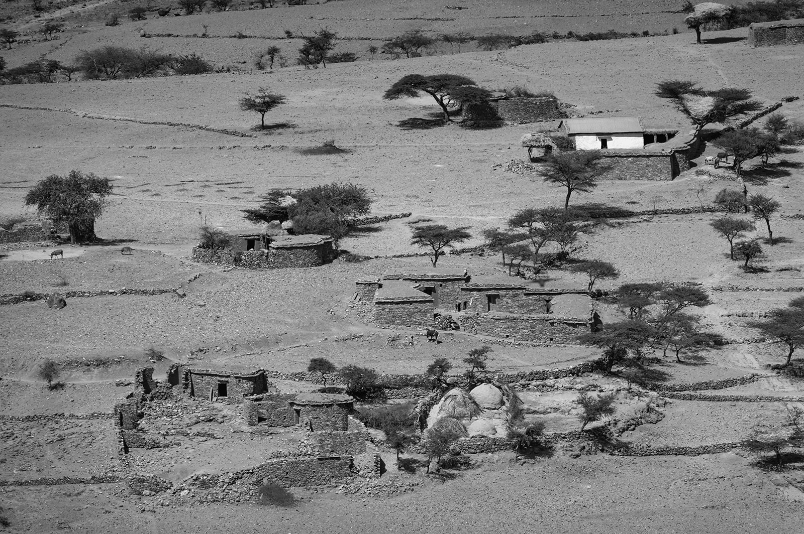 tigray-cover-page tigray - landscape